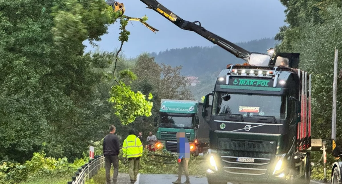 Nie każdy bohater nosi pelerynę 