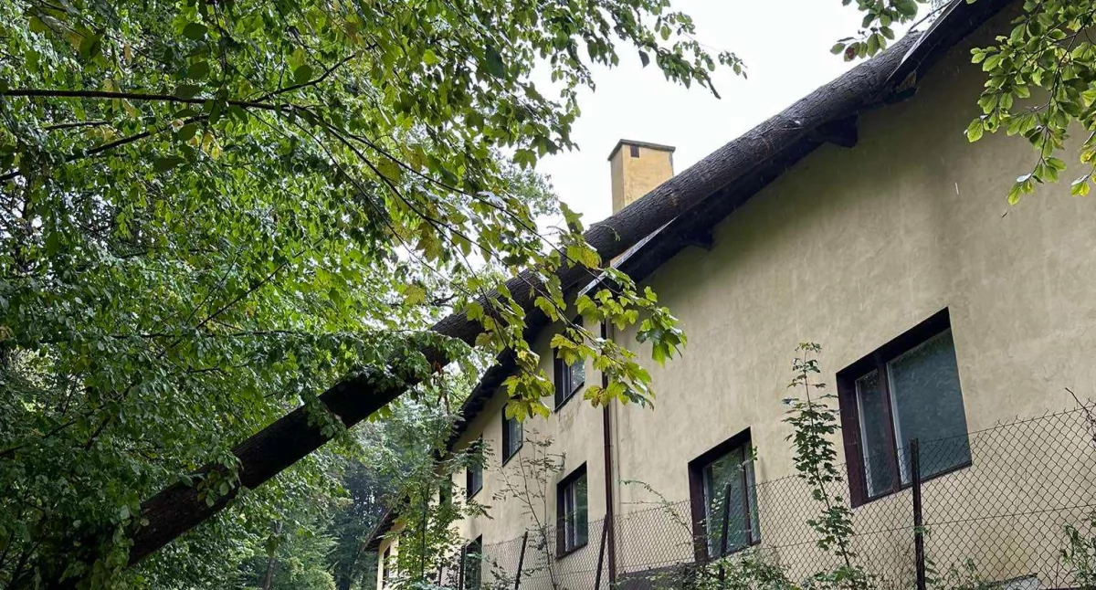 Palcza: Drzewo przewróciło się na budynek, interweniowały służby ratunkowe