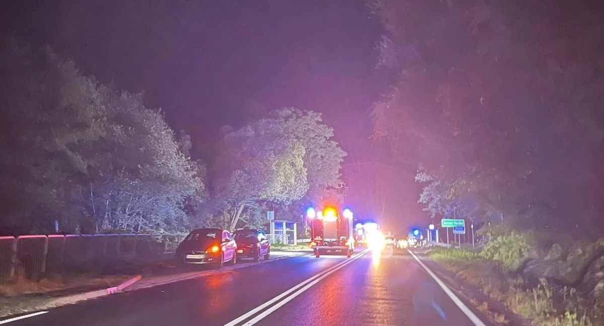 Potrącona na drodze krajowej 28 piesza nie przeżyła wypadku 