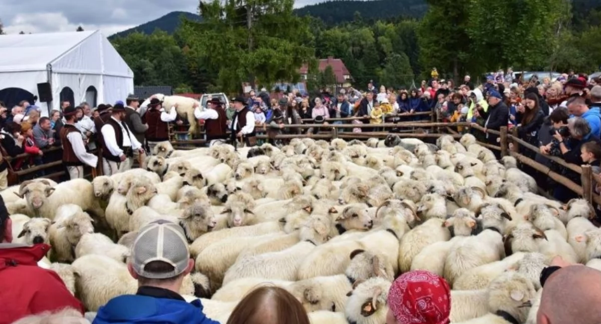 Atrakcje na weekend (27-29 września) w powiecie suskim 