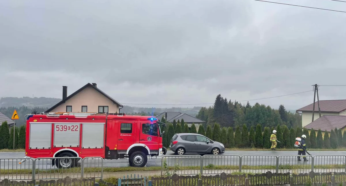 Tu plama, tam plama. Strażacy w akcji 