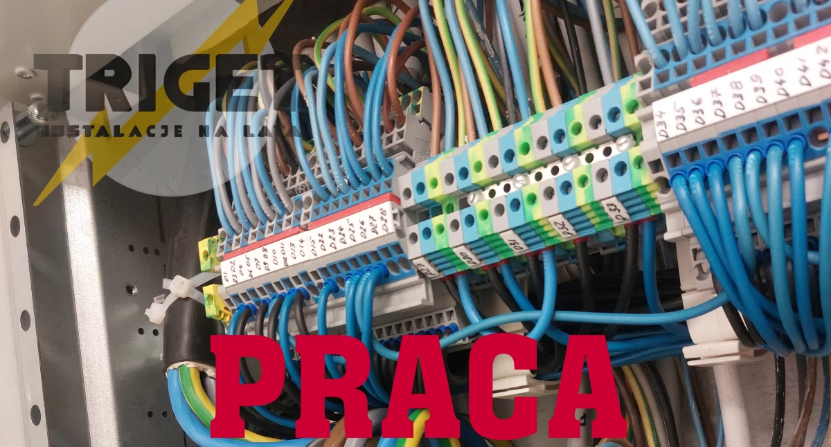TRIGET – Poszukuje Elektryka! 