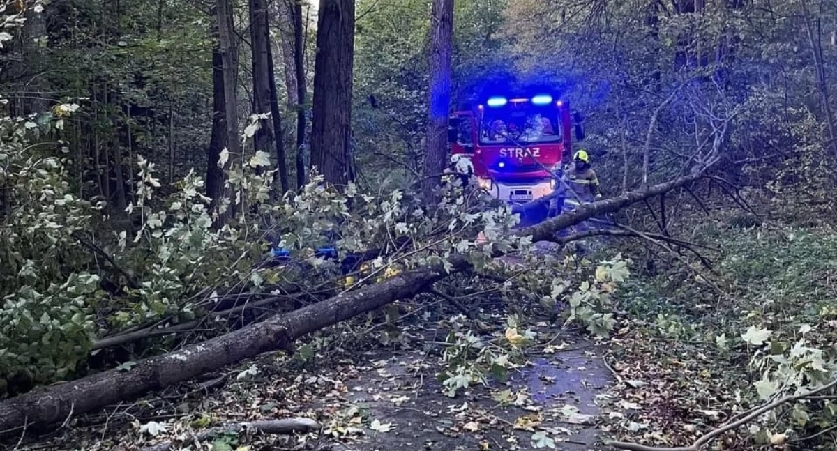 Interwencja strażaków w Toporzysku 