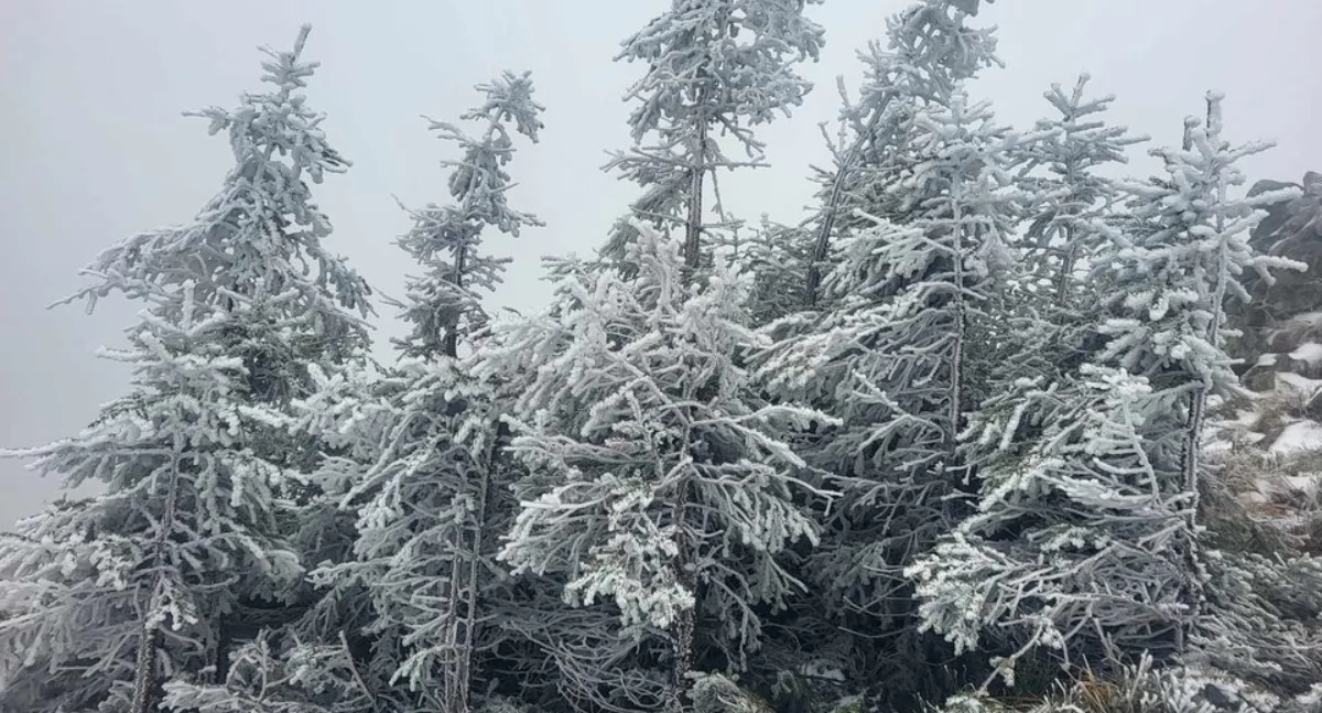 Pierwszy śnieg na Babiej Górze – zima nadchodzi