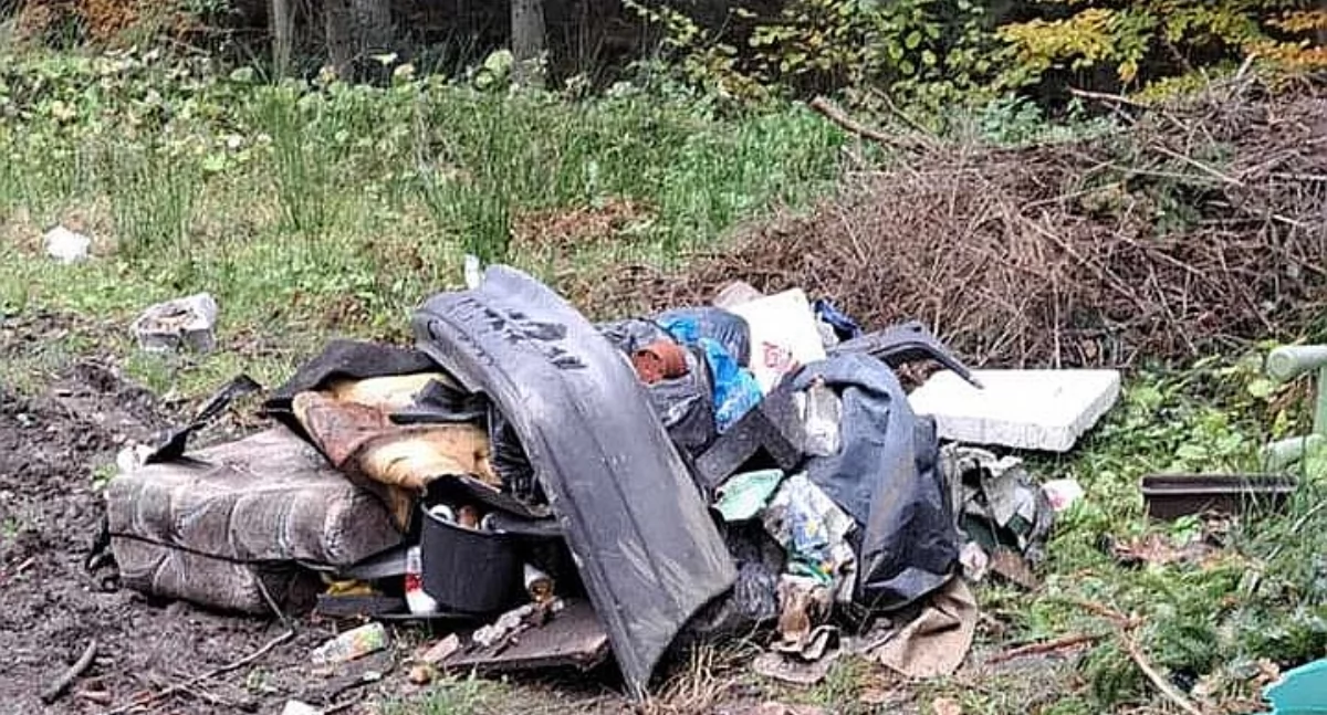 Zgroza pod lasem. Jak tak można?!