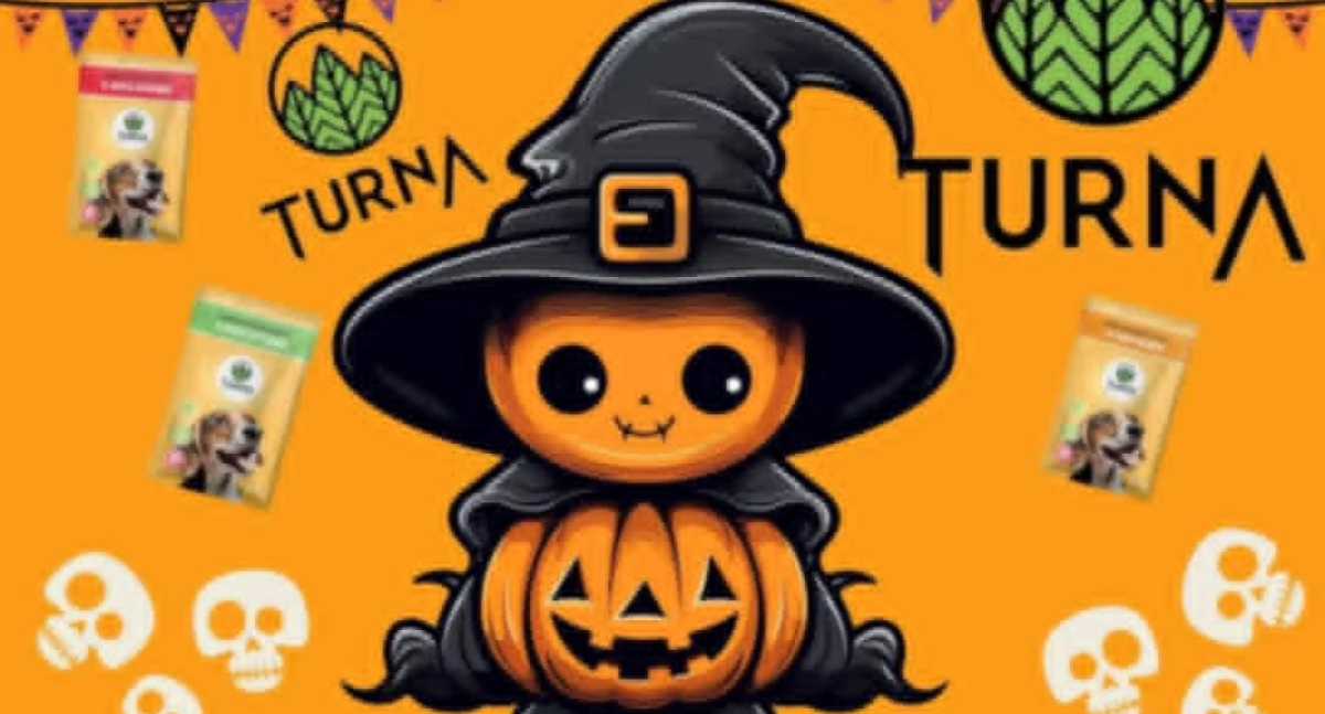 Turna – konkurs halloweenowy dla właścicieli psów!