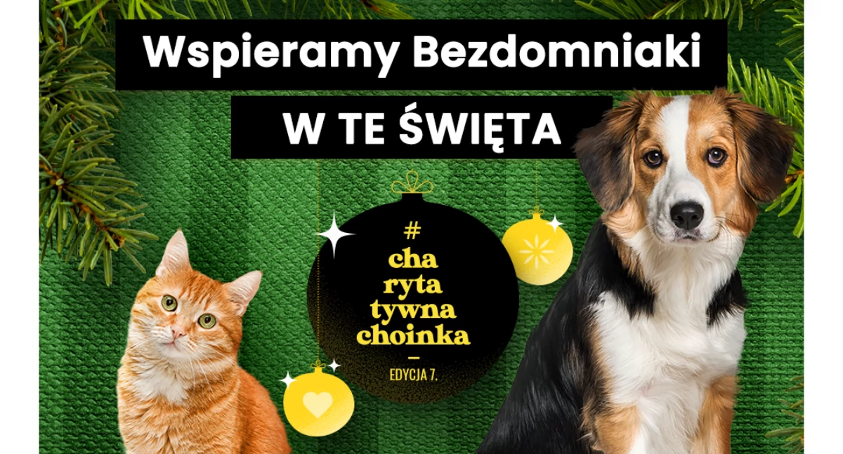 Ruszyła 7. edycja akcji #CharytatywnaChoinka od Karmimy Psiaki. Cała Polska robi prezenty bezdomniakom!