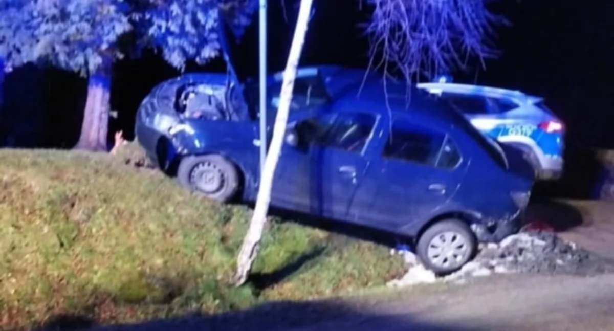 Wypadł dacią z drogi