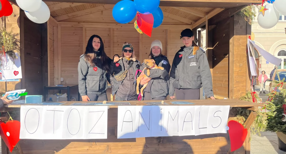 Pilnie poszukiwani wolontariusze i domy tymczasowe: dołącz do OTOZ Animals w Suchej Beskidzkiej! 