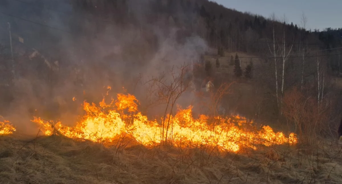 Pożar traw w Zawoi Hrabkowej