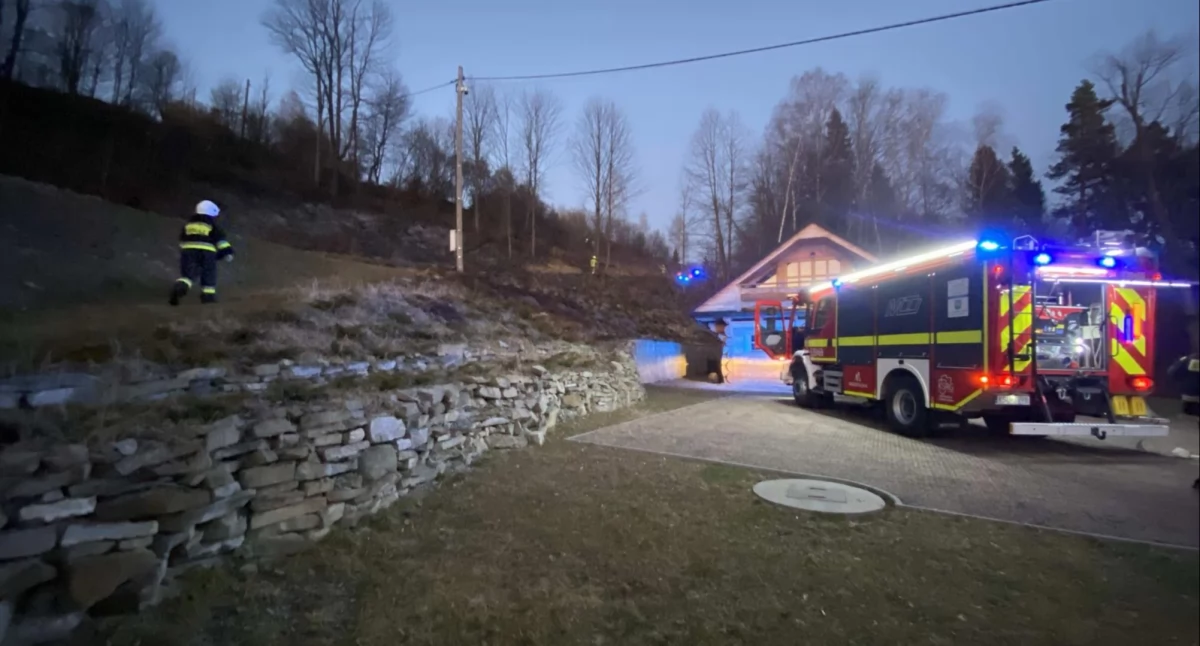 Strażacy walczyli z pożarem trawy w Makowie Podhalańskim