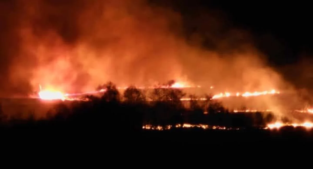 Spłonęło 5 hektarów! Teraz grozi mu 10 lat więzienia! 