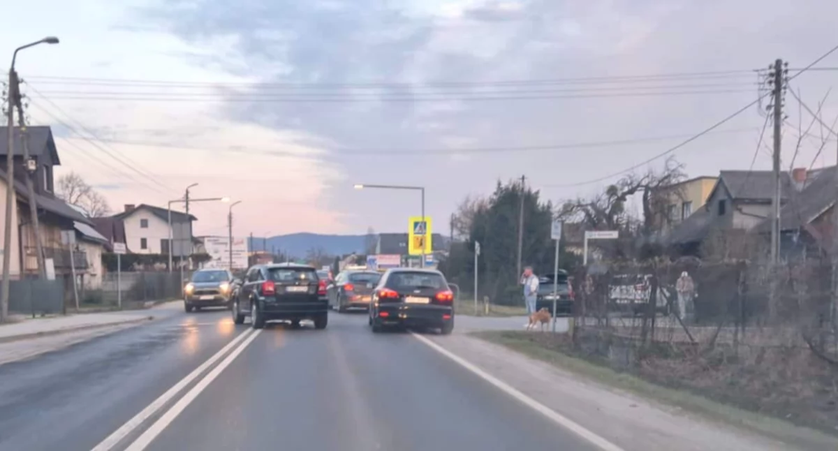 Sprawa tej kolizji znajdzie finał w sądzie