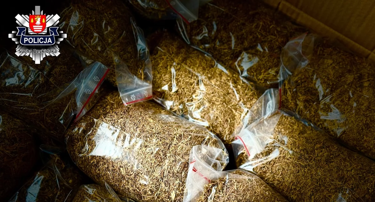 52-latek odpowie za posiadanie nielegalnej krajanki tytoniowej i papierosów.