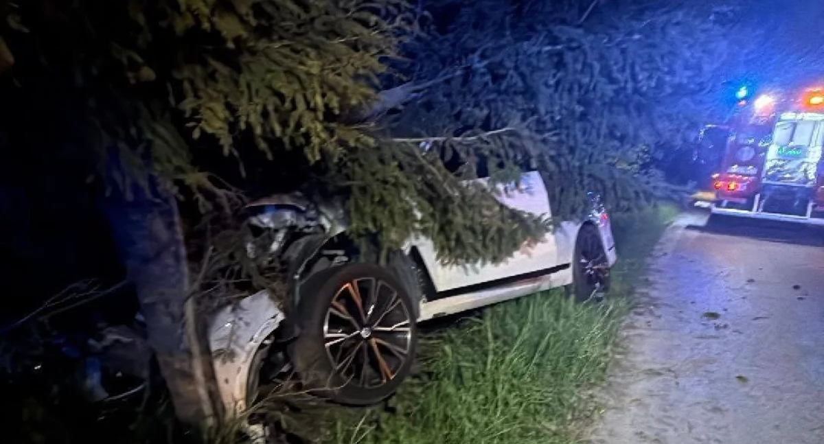 Wypadek w Naprawie – kierowca uderzył w drzewo, jedna osoba poszkodowana