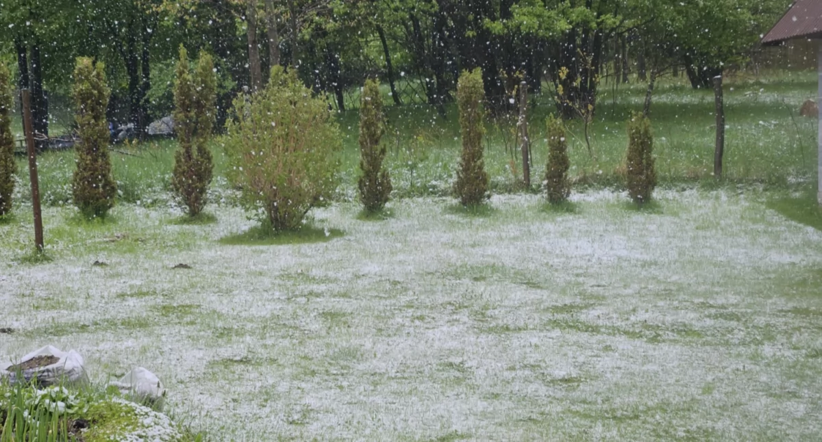 Zimni ogrodnicy i zimna Zośka to nie przesąd, to meteorologiczna prawidłowość