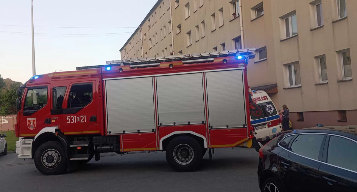 Wieczorna interwencja w Makowie Podhalańskim 