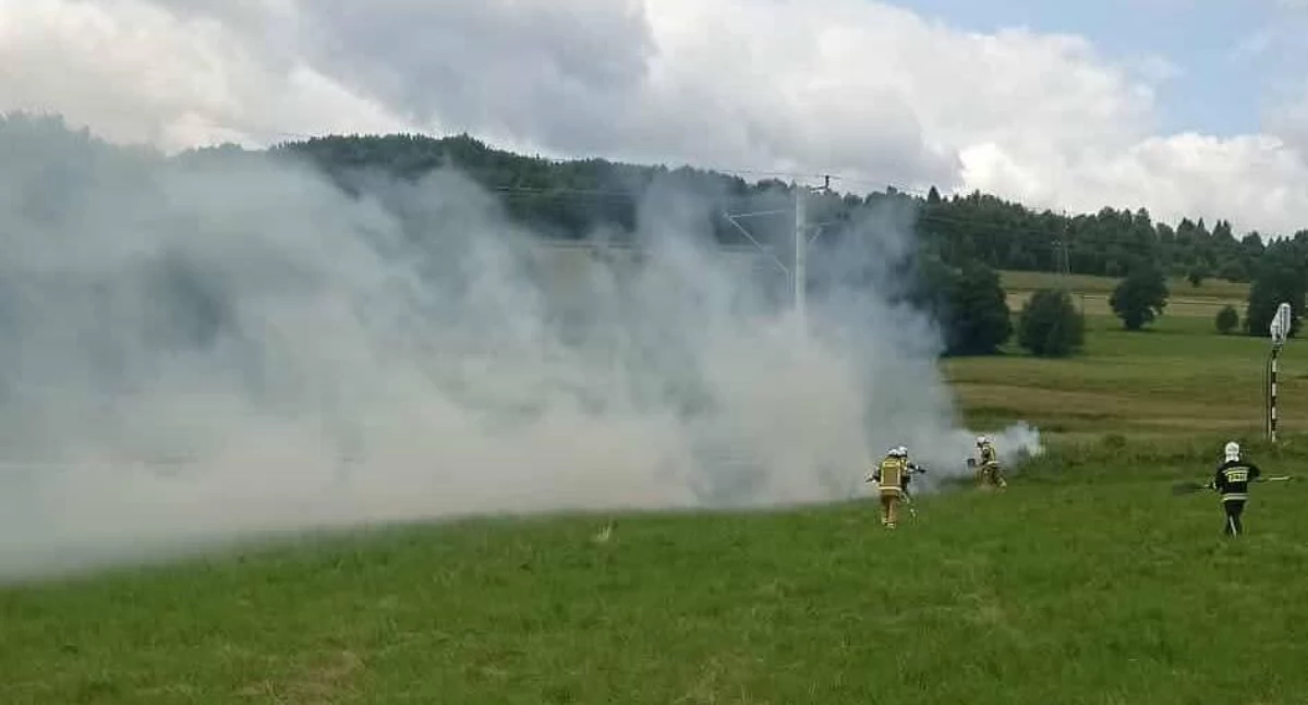 Popołudniowy pożar traw w Juszczynie