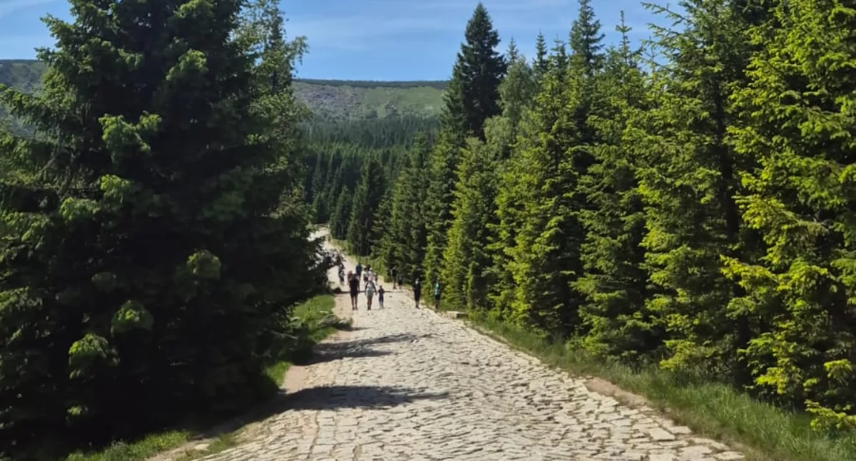 Na wakacyjnych, górskich szlakach – o czym warto pamiętać?