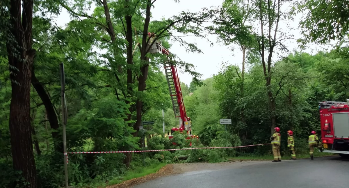 Interwencja straży pożarnej na ul. Starzeńskiego – utrudnienia w ruchu