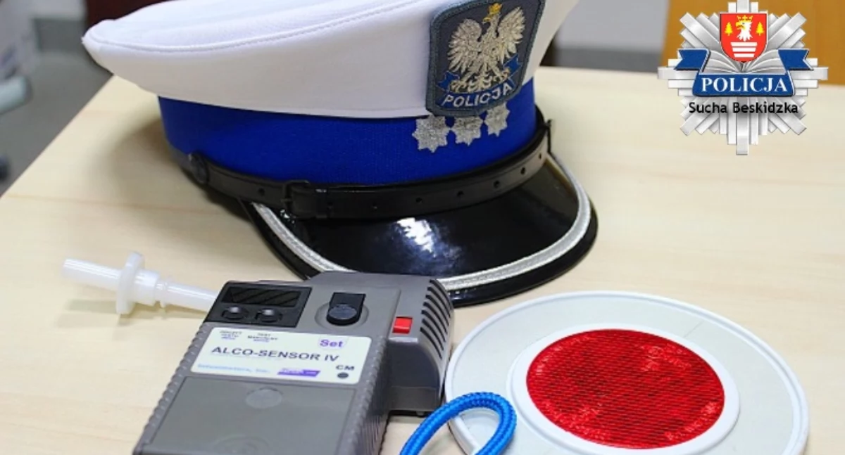 Kierowca z 3,6 promilami we krwi wjechał w budynek. Finał nocnej eskapady w policyjnym areszcie