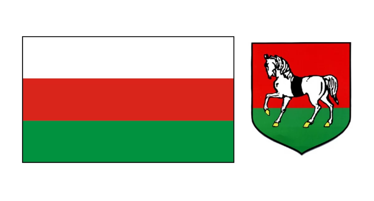 Flaga i herb Suchej Beskidzkiej z ciekawostką