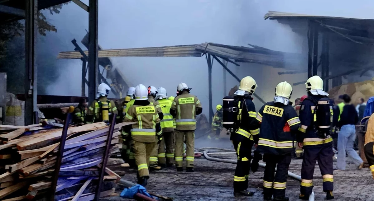 Poranny pożar zakładu drzewnego