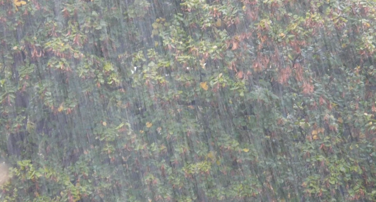 Ostrzeżenie meteorologiczne dla powiatu suskiego. Nadchodzą intensywne opady deszczu