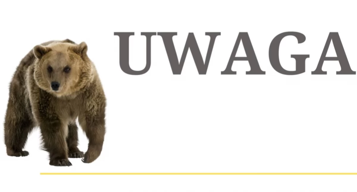 Niedźwiedź zauważony w okolicy Pewelki i Huciska – Urząd Gminy apeluje o ostrożność!