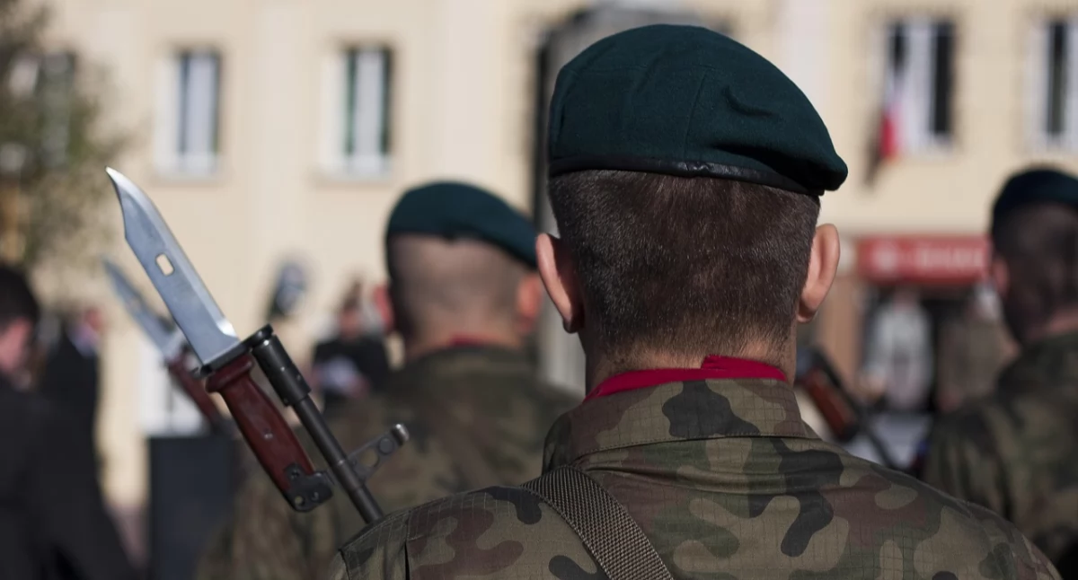 Mobilizacja Polaków za granicą? Nowelizacja budzi pytania i wątpliwości