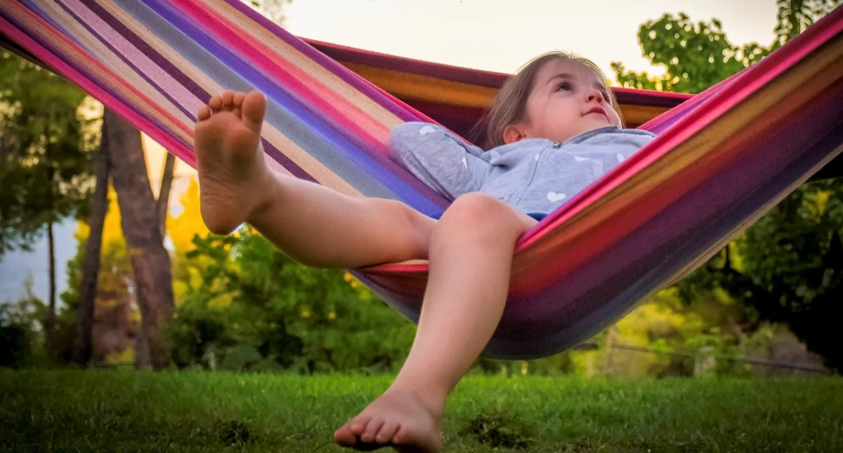 ZUS bierze pod lupę karty lunchowe. Trwają masowe kontrole - co sprawdzają inspektorzy?