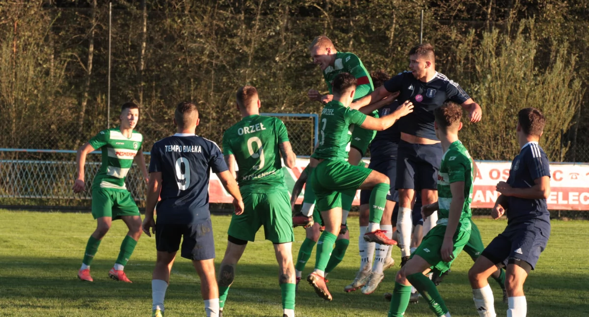 V-LIGA ZACHODNIA: Tempo wykonało wyrok, Orzeł w Białce nie polatał