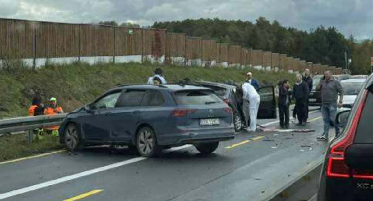 Druhowie z OSP Juszczyn Polany ratowali życie na autostradzie A4