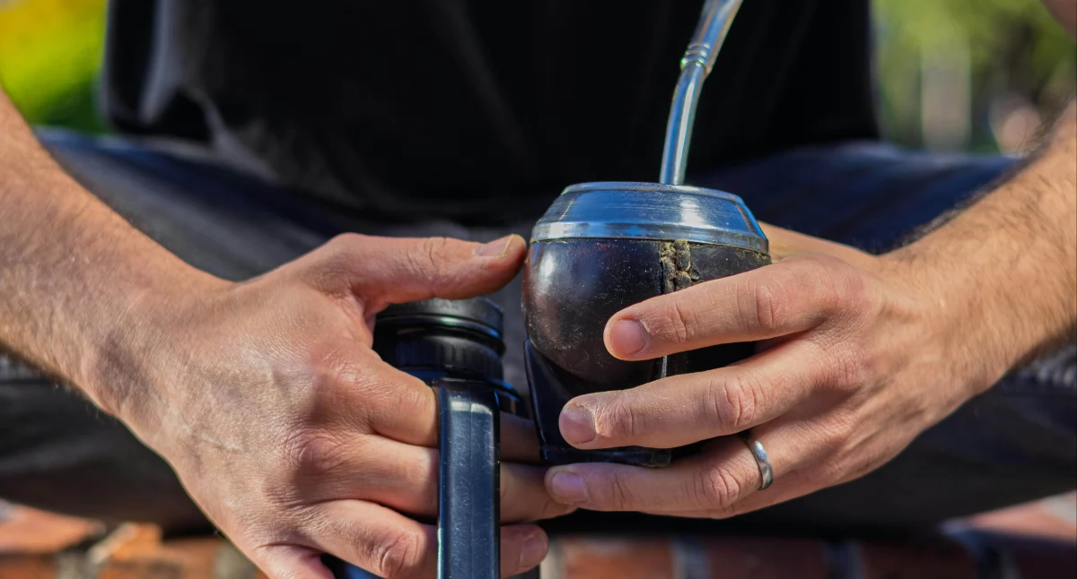 Yerba Mate dla Początkujących: Przewodnik po Świecie Ostrokrzewu Paragwajskiego