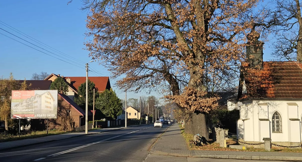 Nowe przejście dla pieszych przy Makowskim Centrum Kultury. Radni jednomyślnie za porozumieniem z GDDKiA