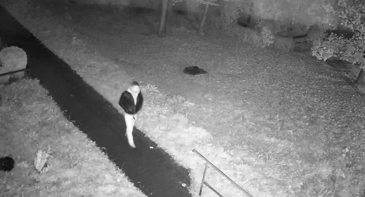 Policja szuka sprawcy bezsensownego ataku. Apel do mieszkańców (video)