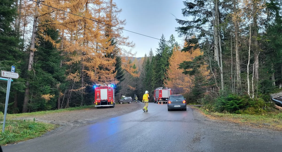 Zdarzenie drogowe w Skawicy (aktualizacja)