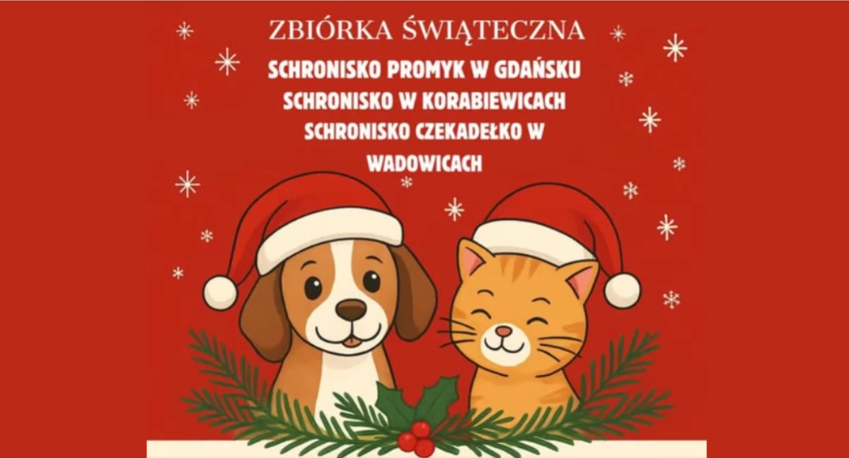 Pomagamy Zwierzakom na Święta – Dołącz do Świątecznej Zbiórki w epaka.pl Sucha Beskidzka!