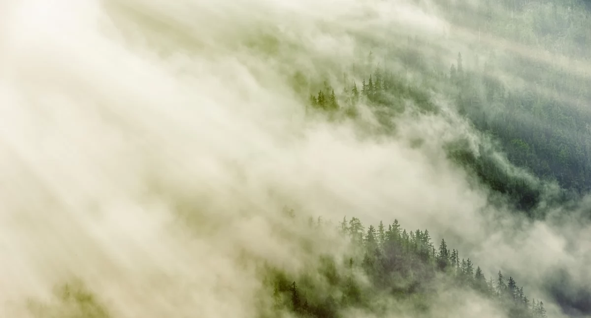 Ostrzeżenie meteorologiczne dla powiatu suskiego! 
