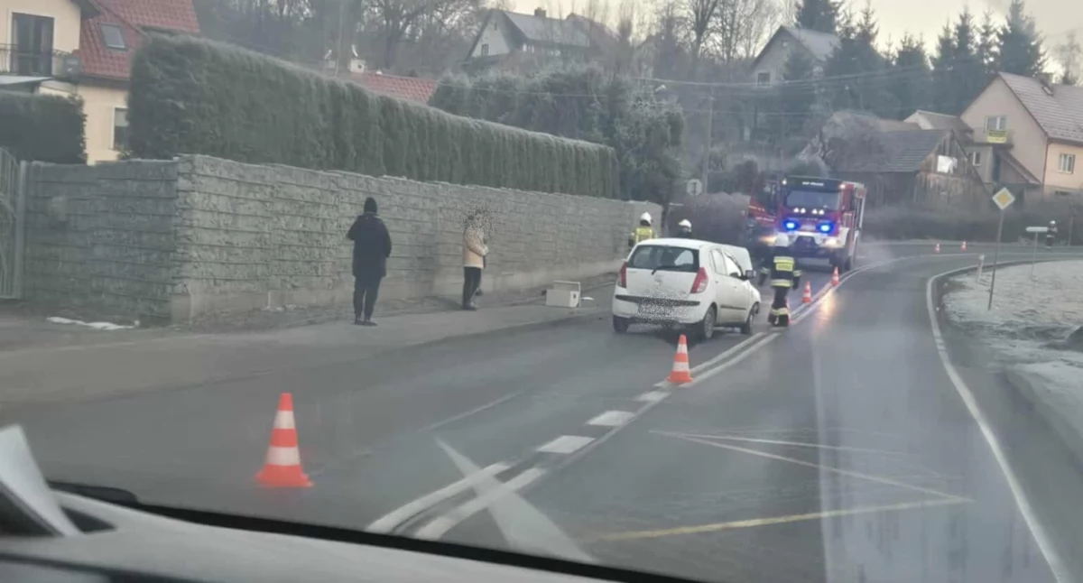 Zatrzymała się na płocie