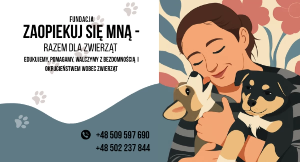 Nowa fundacja dla zwierząt powstała w regionie