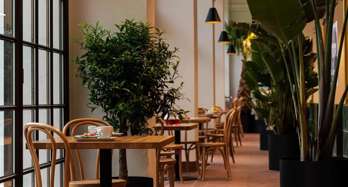 Cafeteria Oranżeria w Suchej Beskidzkiej 
