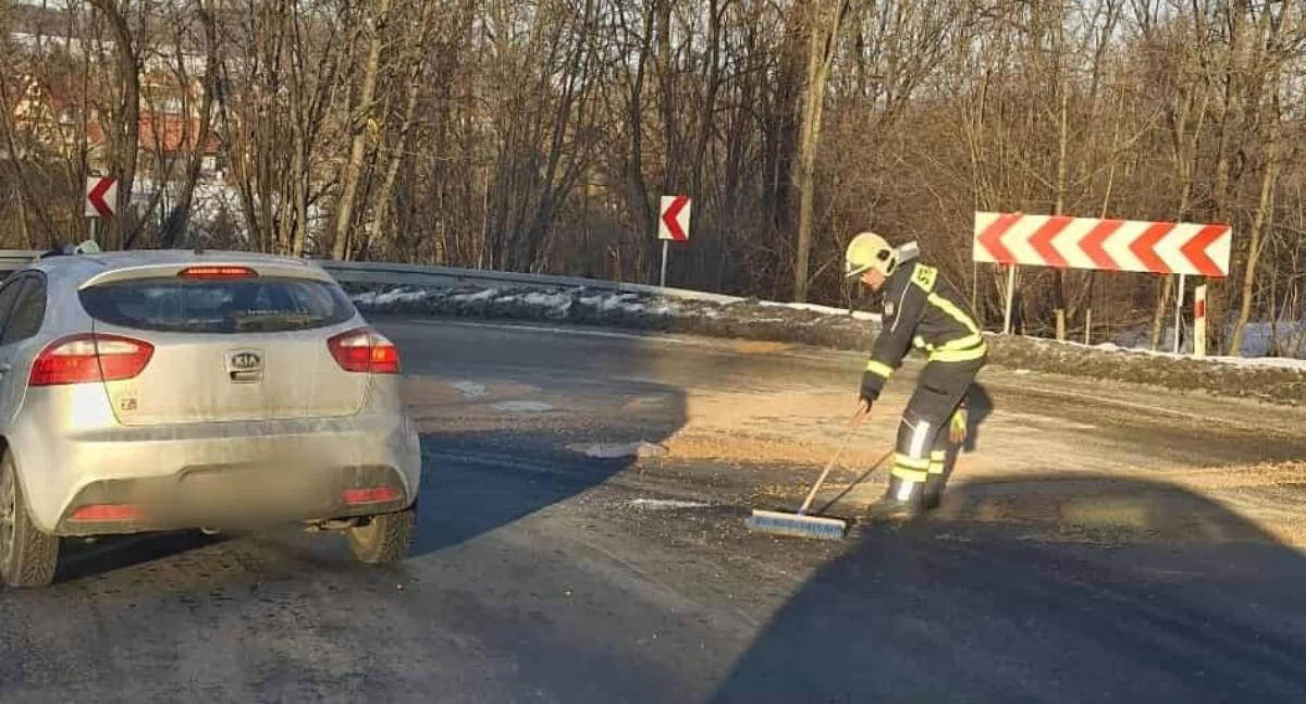 Pelet na drodze krajowej 
