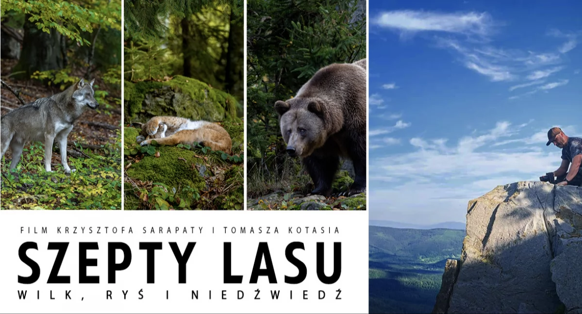 Nikt tak nie pokazał Babiogórskiego Parku Narodowego. Mamy zwiastun „Szeptów lasu” 