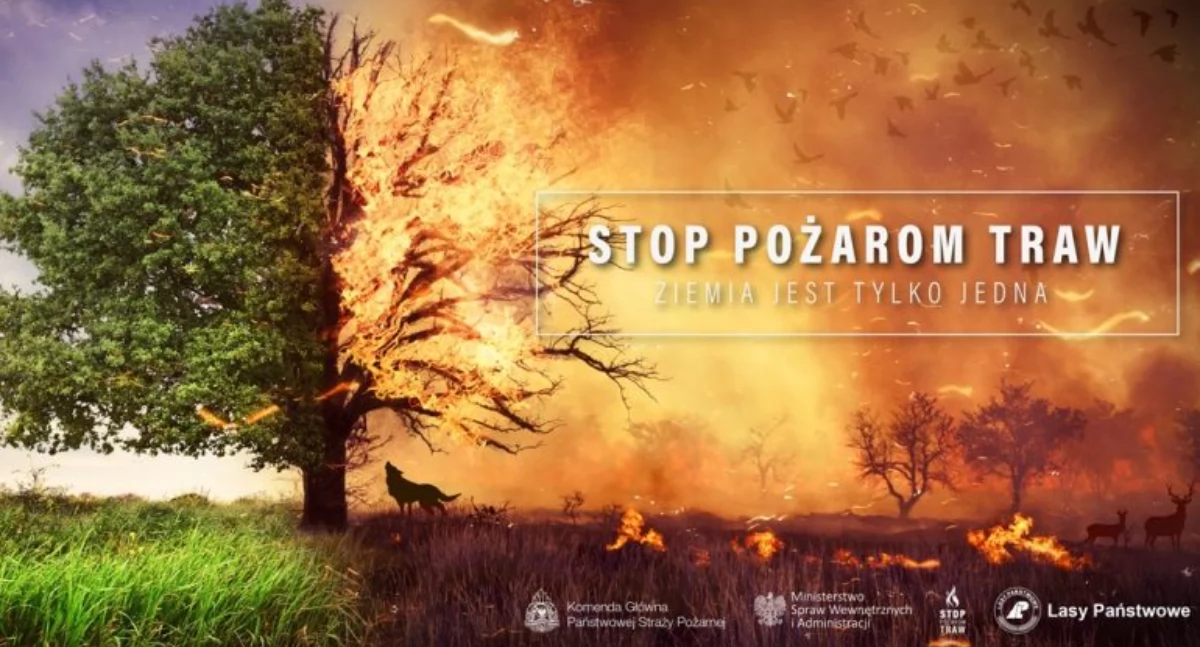 Alarm w powiecie suskim: rekordowa liczba pożarów traw w 2025 roku