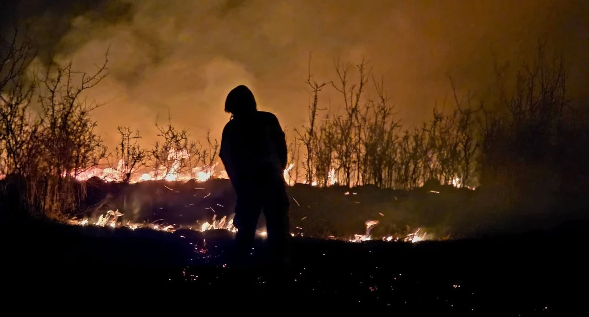 Pożar traw w Bystrej Podhalańskiej szybko opanowany przez strażaków