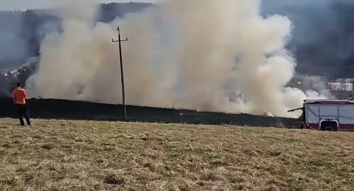 Pożar traw pod Jordanowem. Spłonęło 40 arów ziemi