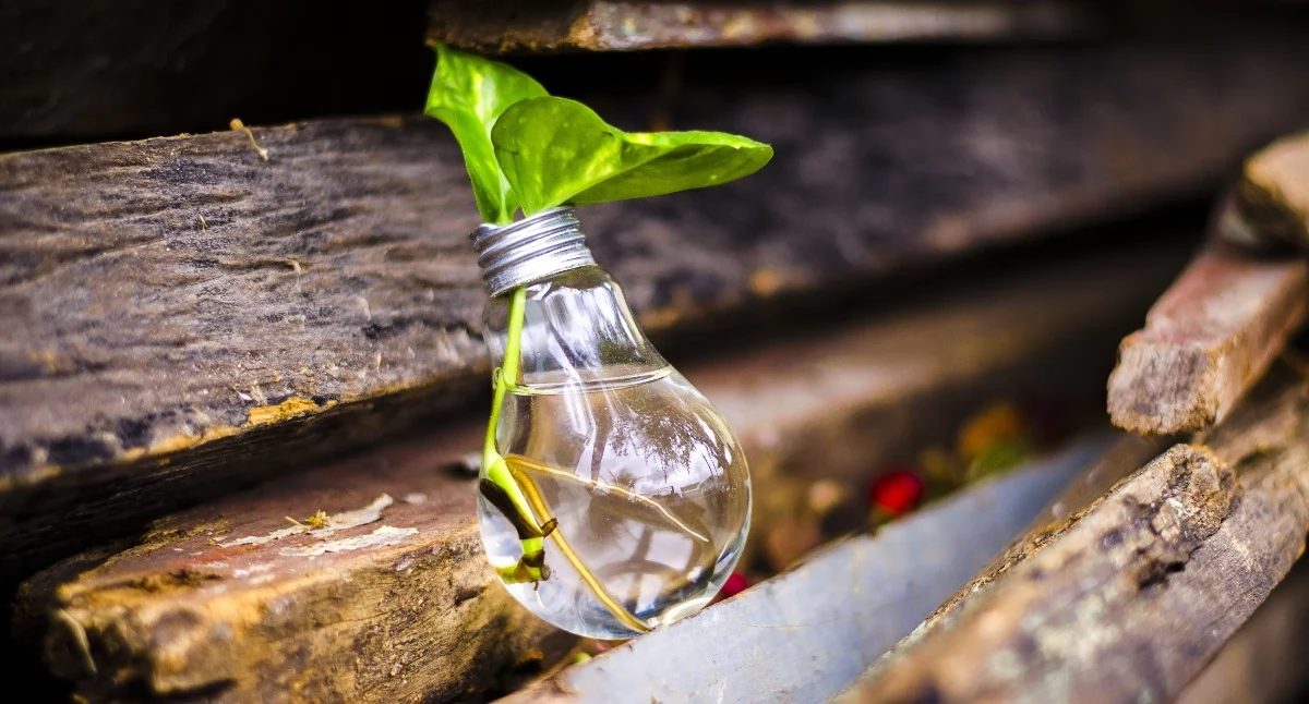 Światowy Dzień Recyklingu 2026 w powiecie suskim. Czy Twój dom recyklinguje poprawnie?