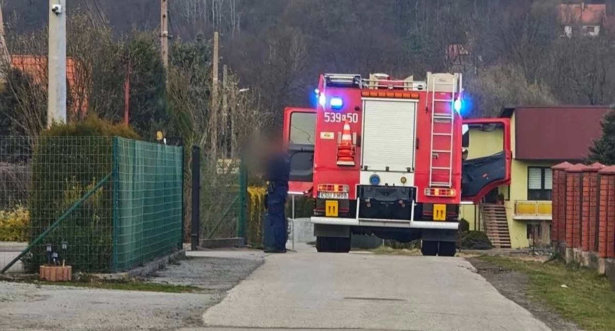 Pożar traw w Białce. Spłonęły tuje, na miejscu strażacy i policja