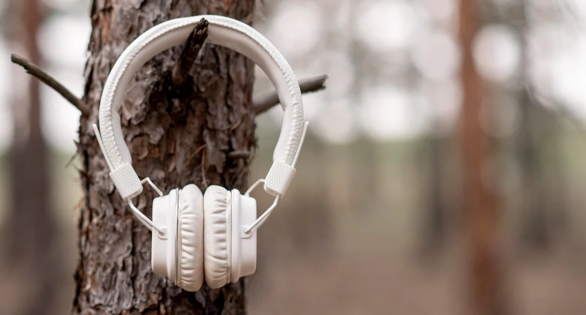 Zbrodnie z górskimi szczytami w tle. Te wciągające audiobooki kryminalne to absolutny hit na długie wieczory